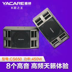 Yacare/雅桥 CS-650专业ktv10寸卡包音箱套装家庭会议音响包邮