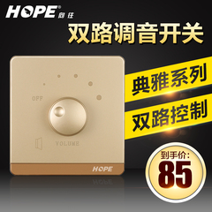 hope/向往 智能家居背景音乐双路调音调音开关控制器803