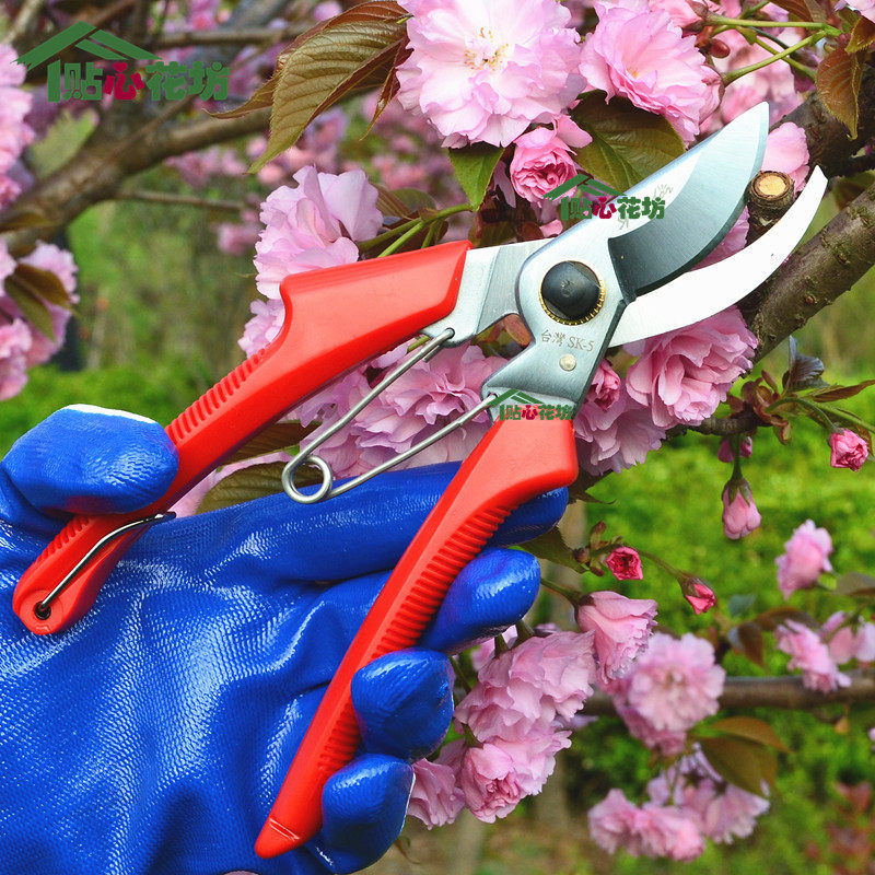 进口园艺修枝剪 园林修剪刀树枝果树剪 修花剪刀 苗木花卉剪刀