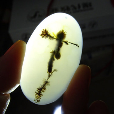 水玉冰魄 天然水草玛瑙吊坠 海洋玉髓象形花草 稻草人 大号 实物