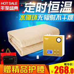 水暖毯双人水热毯床垫水暖电热毯静音可调无辐射单人三人电褥子