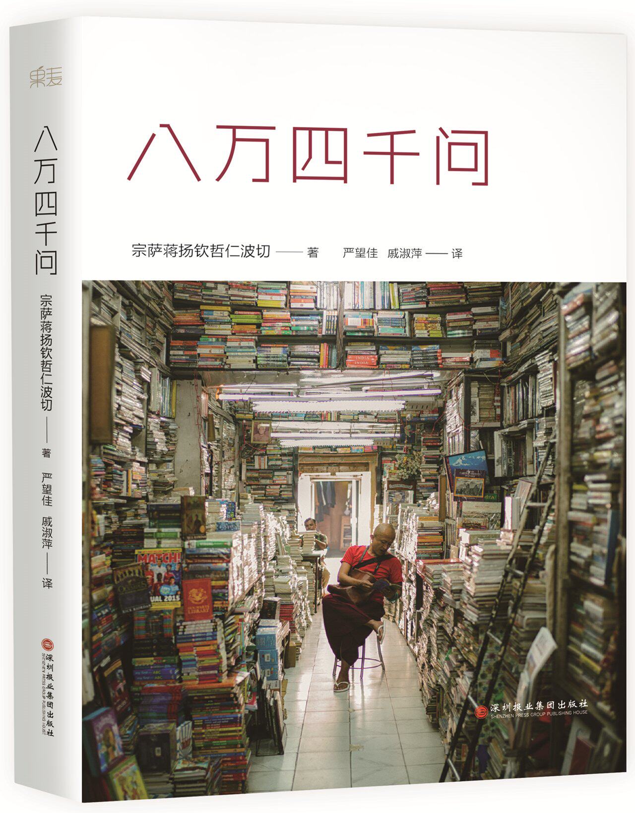 正版 八万四千问 宗萨蒋扬钦哲仁波切  著 严望佳   戚淑萍 译