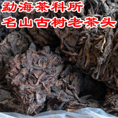 云南省农科院 勐海茶科所 云茶工艺 熟茶 技术拼配名山古树老茶头