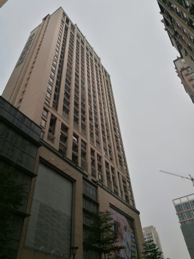 佛山市顺德区乐从镇路州村委会乐从大道东b270号星光广场c座812号房屋