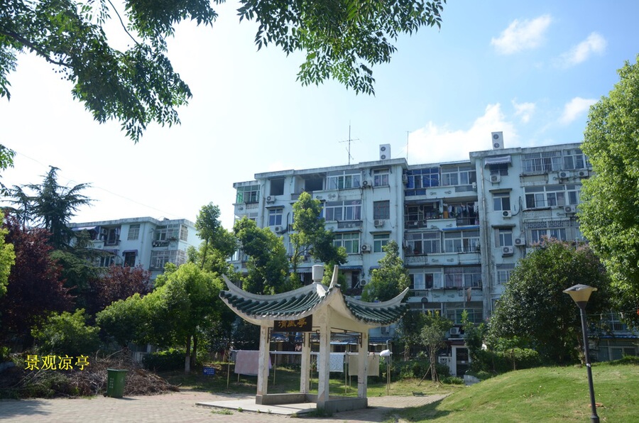 一拍 合肥市西园新村竹荫里58幢106室成套住宅 不限购不限购