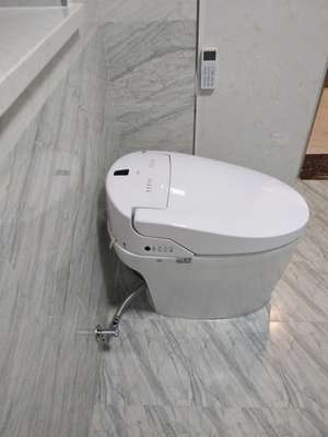 体验多人点评：伊奈智能马桶怎么样，听说很好用是真的吗？