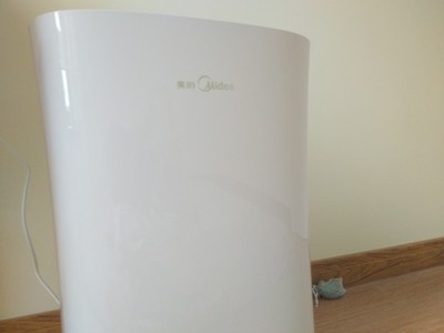 352 X60空气净化器能除甲醛吗?不看烦恼的很！有异味吗?