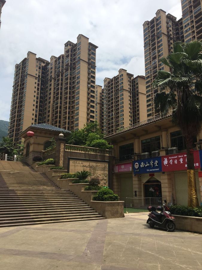 登记在被执行人谭秀英名下的桂平市西山镇凤凰新区西山华府8号楼1单元