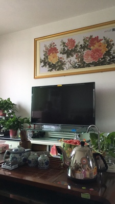 Re:请问真实对比tcl 65q1和65A730U哪个好呢??说说使用感受tcl 65q1和65A730U区别 ..