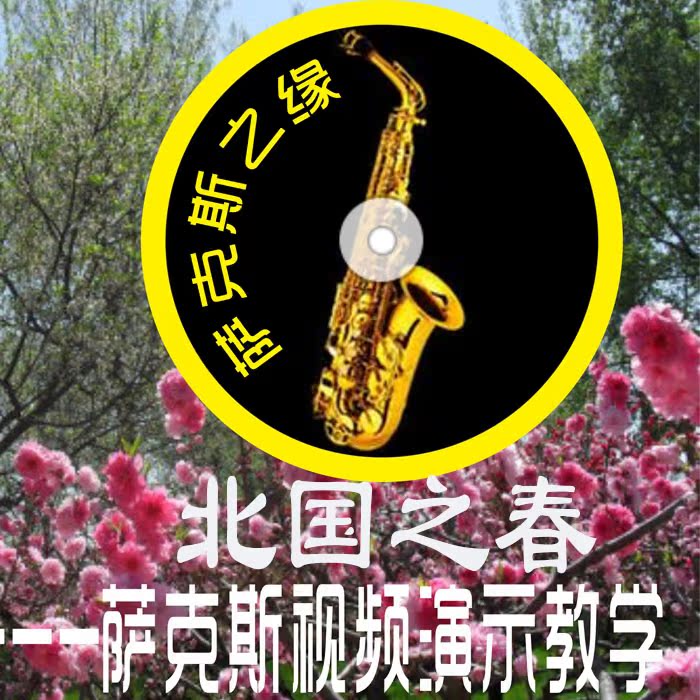 萨克斯视频教程