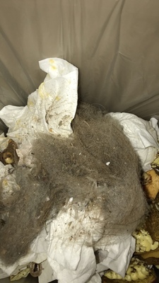 Re:大家评测吐槽360 s5扫地机怎么样呢??真实使用参考360 s5扫地机评测好不好用呢 ..