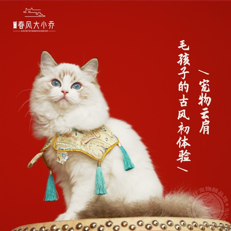 春风大小乔宠物古风云肩猫咪狗狗衣服拜年喜庆中式披肩Z口水巾斗