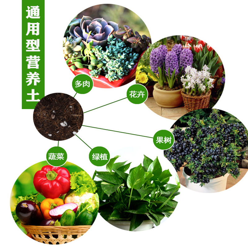 推荐花泥营养土通用型多肉绿萝专用有机土阳台种菜种花种植土园艺