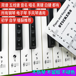 钢琴音标a贴电子琴键盘贴纸五线谱数字简谱自学88键61健54音阶配