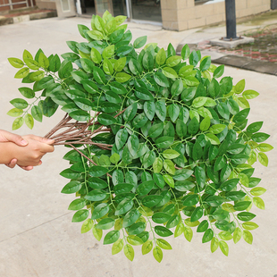 仿真榆树叶手感过胶塑料榆树支绿色植植物叶子假树V枝工程装饰造