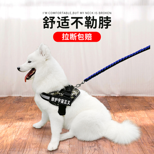 狗狗用品牵引绳中型大型犬萨摩边牧金毛法斗项圈狗绳链.子遛狗神