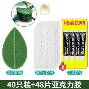 新品绿萝爬藤杆固定器绿植支架墙壁植物扣爬墙挂钩墙上扣环神器夹