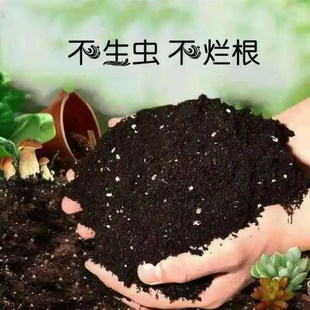 种菜种花通用0营养土1型0斤花土养花土壤多肉绿萝有机肥料种植土