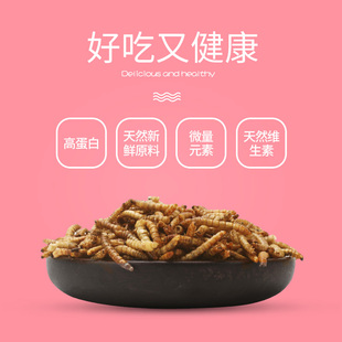 推荐仓鼠粮食面包虫干金丝熊刺猬主粮饲料食物小零食大桶装黄粉虫