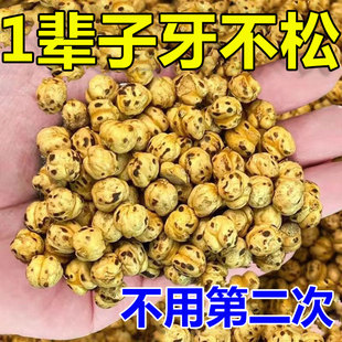 厂家牙齿晃动【102%扎根】牙龈委缩牙齿松动出血肿痛固齿专用牙膏