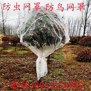 推荐果树防虫网大棚樱桃杨梅网罩防虫防鸟多肉莲雾桃树蔬菜蓝莓网