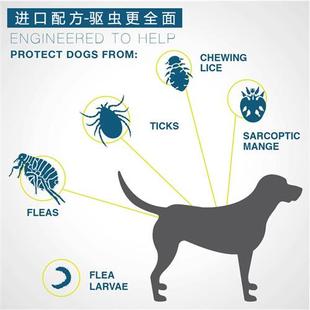 热销狗狗驱虫项圈体外小猫咪防跳蚤去蟎虫宠物幼犬除跳蚤驱蚊用品