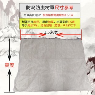 防鸟防虫网罩果树蔬园艺防冰雹病虫害蚊虫果蝇针蜂透明白纱网套罩