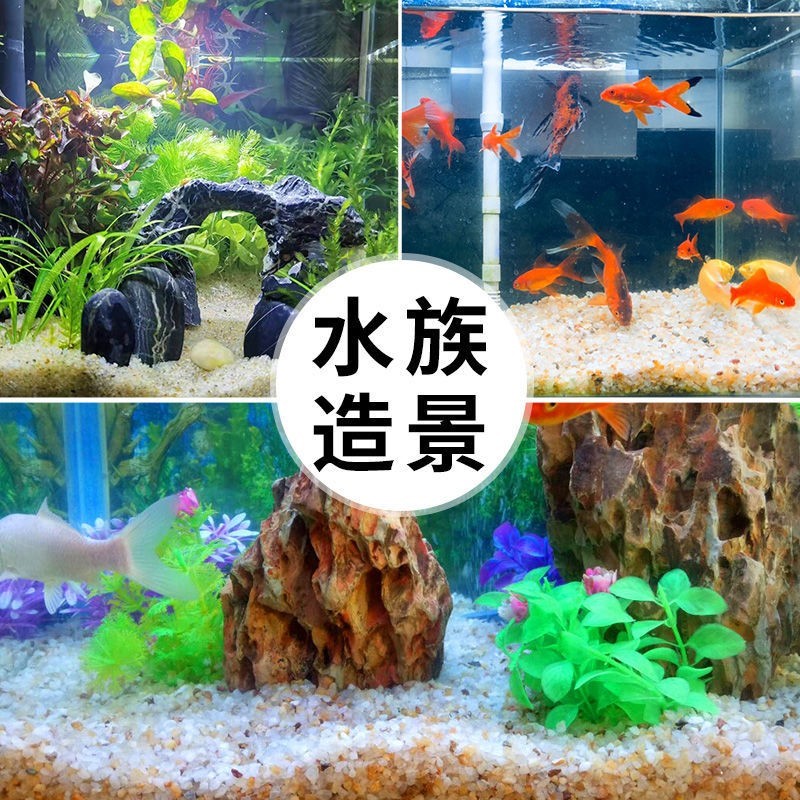 推荐鱼缸底部砂石底砂水晶沙造景沙石天然河沙铺底水族装饰黄金沙