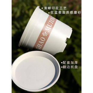 推荐塑料花盆厂家直销加仑花盆黄金葛月季多肉大口径清仓特价包邮