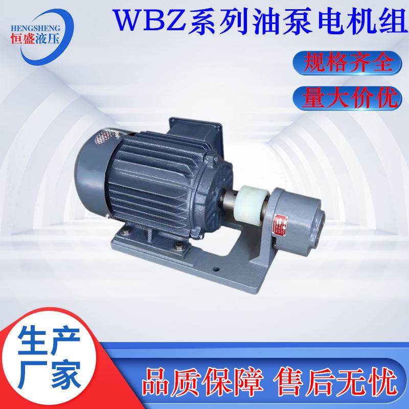 电动无泄漏WBZ-4106380WBZ-125卧式液压润滑循环油泵电机组