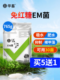 em堆肥发酵菌原种原液水产养殖专用益生菌鱼缸芽孢杆乳酸菌粉水族