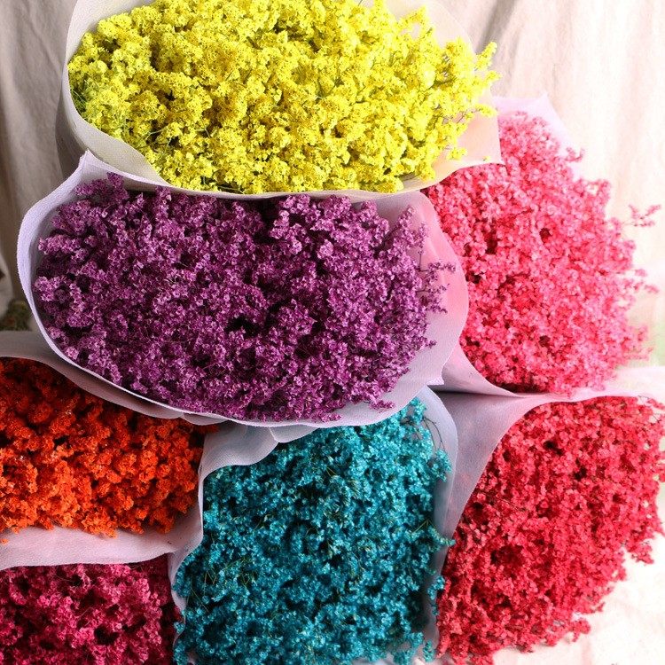 彩色水晶草干花鲜花真花风干染色云南基地直发家居装饰情人草花材