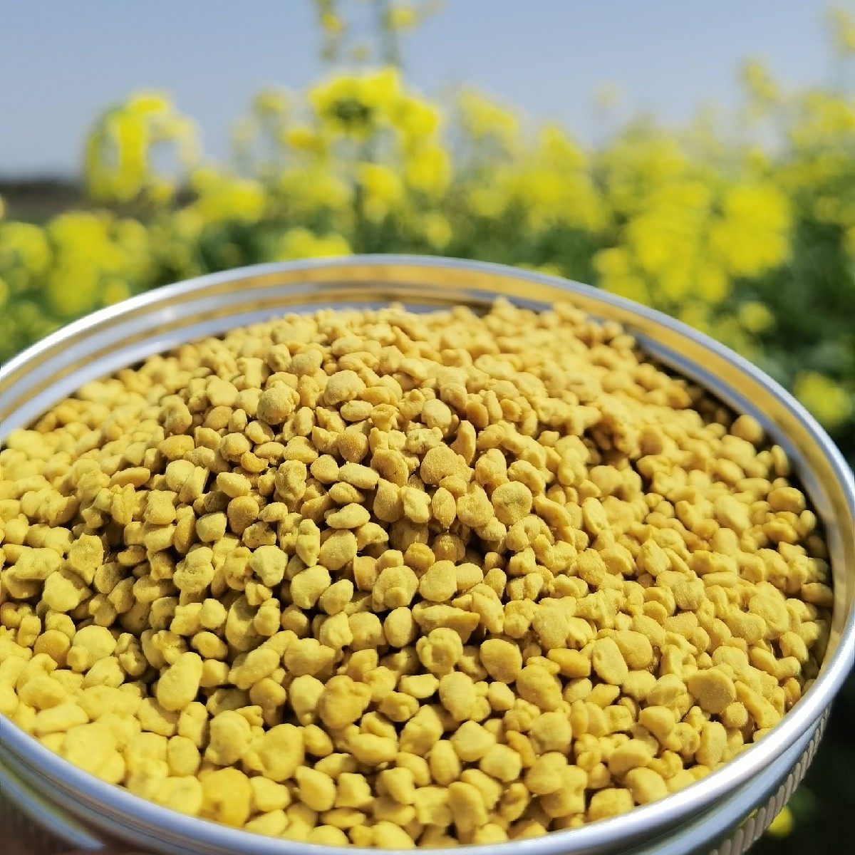 新油菜蜂花粉纯正天然正品食用女人可破壁蜜蜂花粉养蜂包邮500克