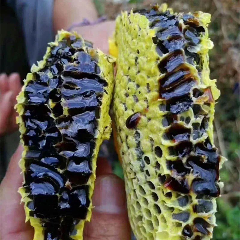 云南原汁高山黑蜂蜜米团花蜜深山成熟天然纯正土蜂蜜无添加百花蜜