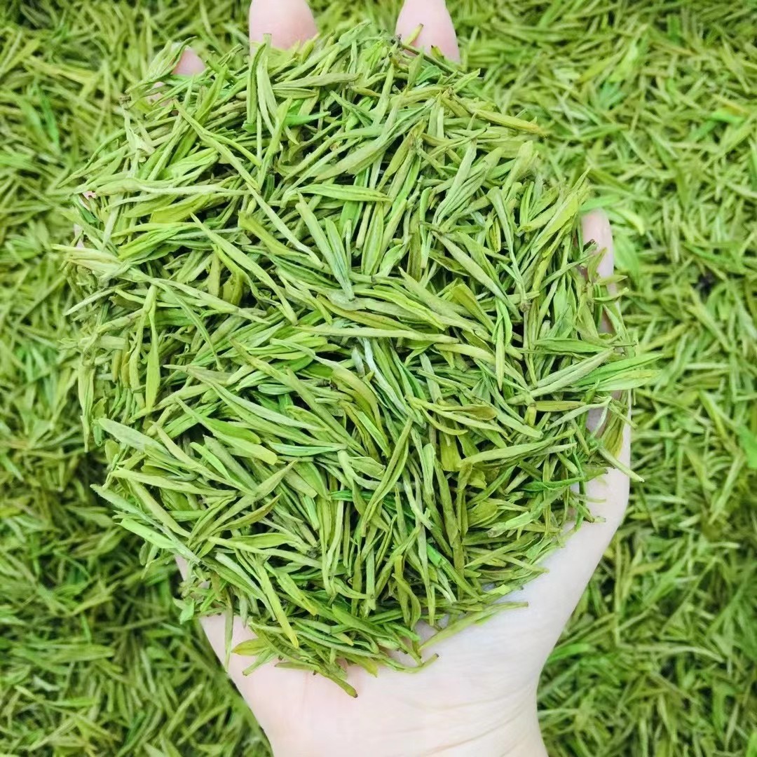 《现货》2021年新茶恩施富硒白茶豆香型明前头采颗颗嫩芽毛峰250g