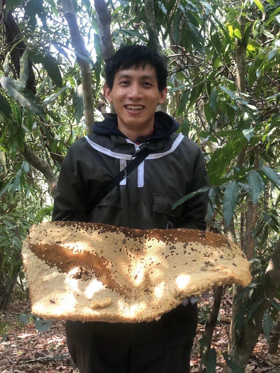 包邮云南西双版纳天然纯正野生蜂蜜树排大挂蜜夏季结晶液态百花蜜