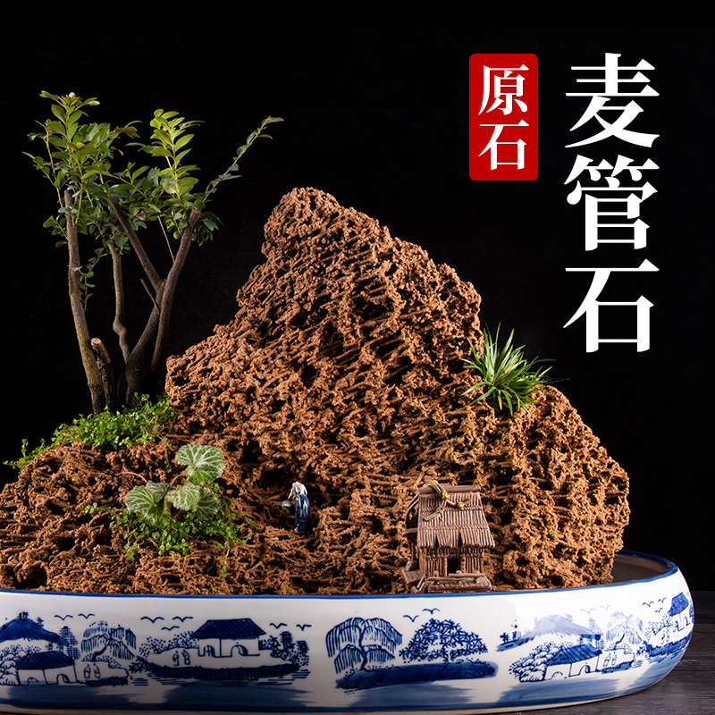 精品黄金麦管石天然吸水石上水石原石假山盆景奇石植物化石小摆件