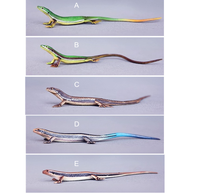 宅客模玩 日本正版小型蜥蜴仿真爬行动物模型 仿真生物模型 10cm