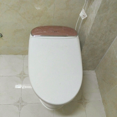 评测点评浪鲸卫浴是一线品牌吗，他们的马桶好不好用？大家说说！