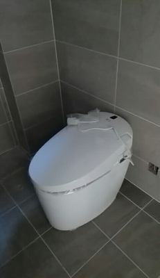 吐槽实际感受浪鲸卫浴智能马桶怎么样，真实质量如何呢？