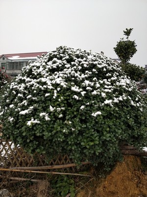 Re:请问真的对比荣耀平板5和小米平板4哪个好??说说荣耀平板5和小米平板4区别是什 ..