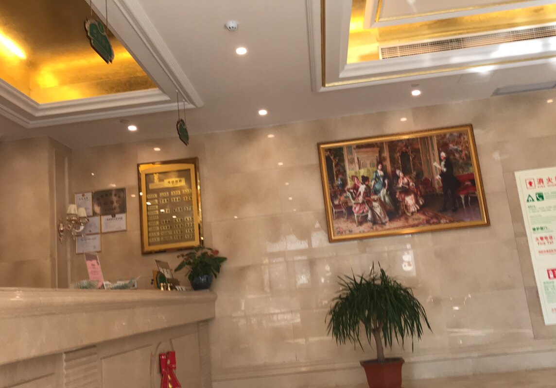 维也纳国际酒店(上海宝山国际邮轮码头盘古路店)