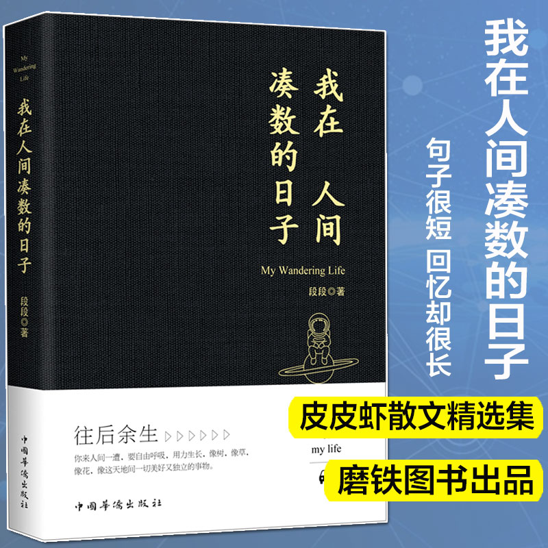 正版包邮 我在人间凑数的日子 段段著皮皮虾书段友新锐作者创作散文精选多篇散文无限的感悟和遐想听什么歌都像在唱自己中国文学