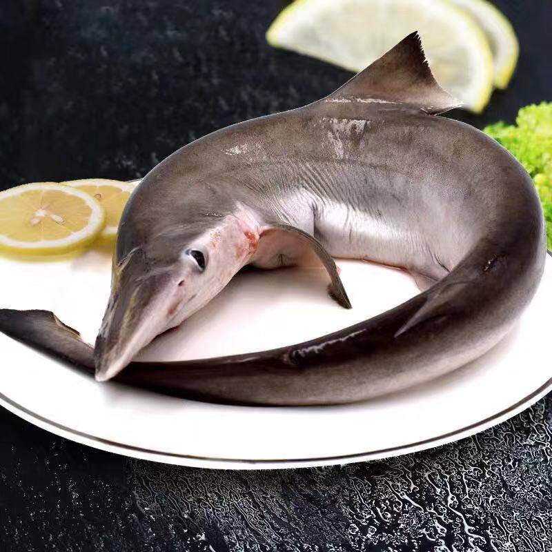 5斤/条海鲜海鱼类小白鲨类新鲜冷冻水产鲨鱼肉优惠券