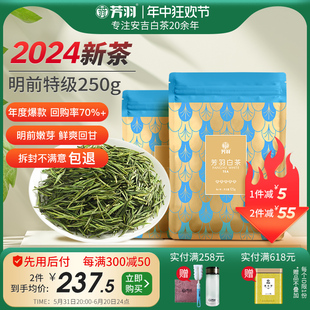 2024年新茶芳羽安吉白茶正宗明前特级嫩芽250g散装茶叶高山绿茶