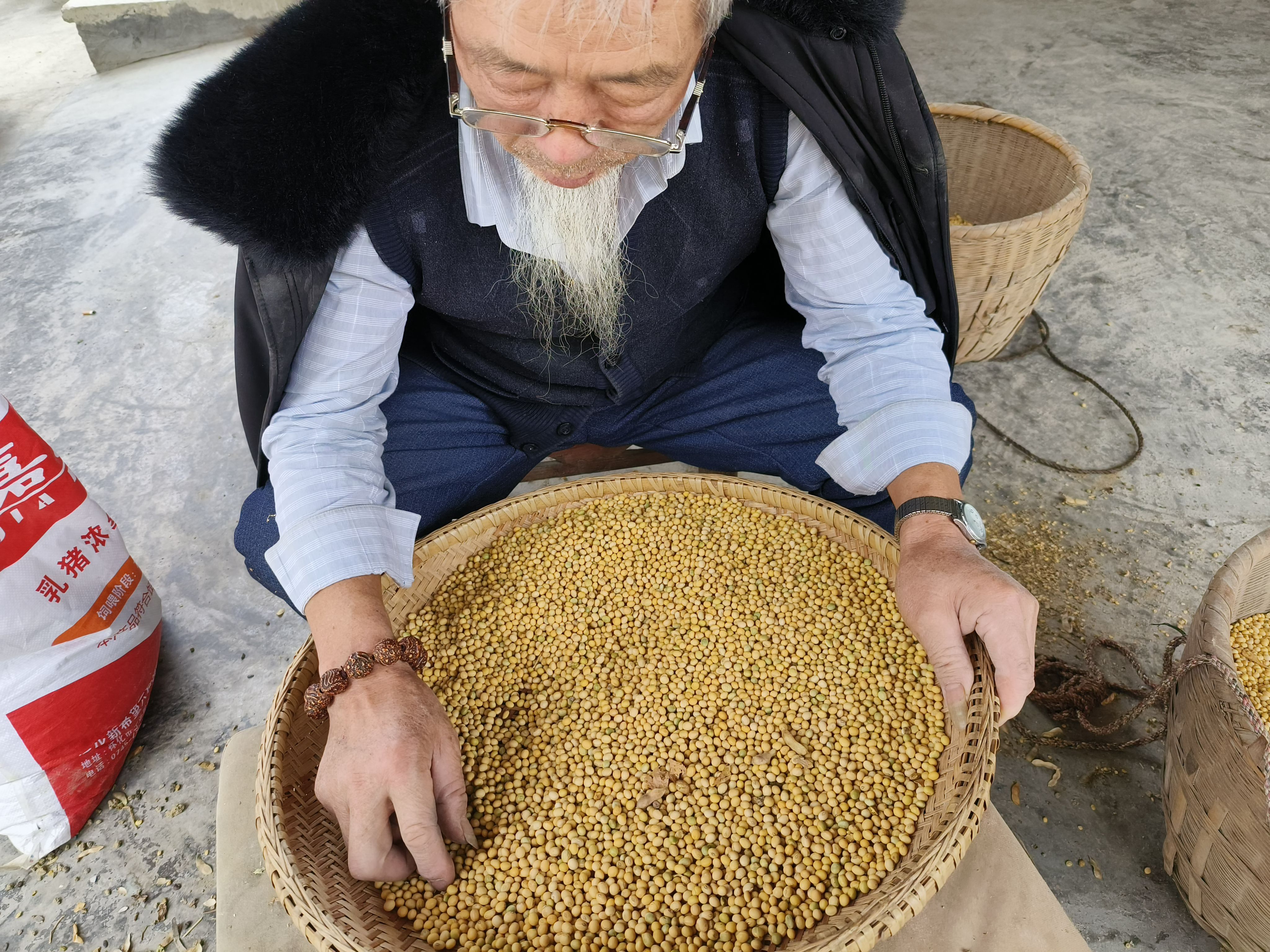 老品种土黄豆非转基因新黄豆恩施农家自种椭圆形笨大豆打豆浆豆腐