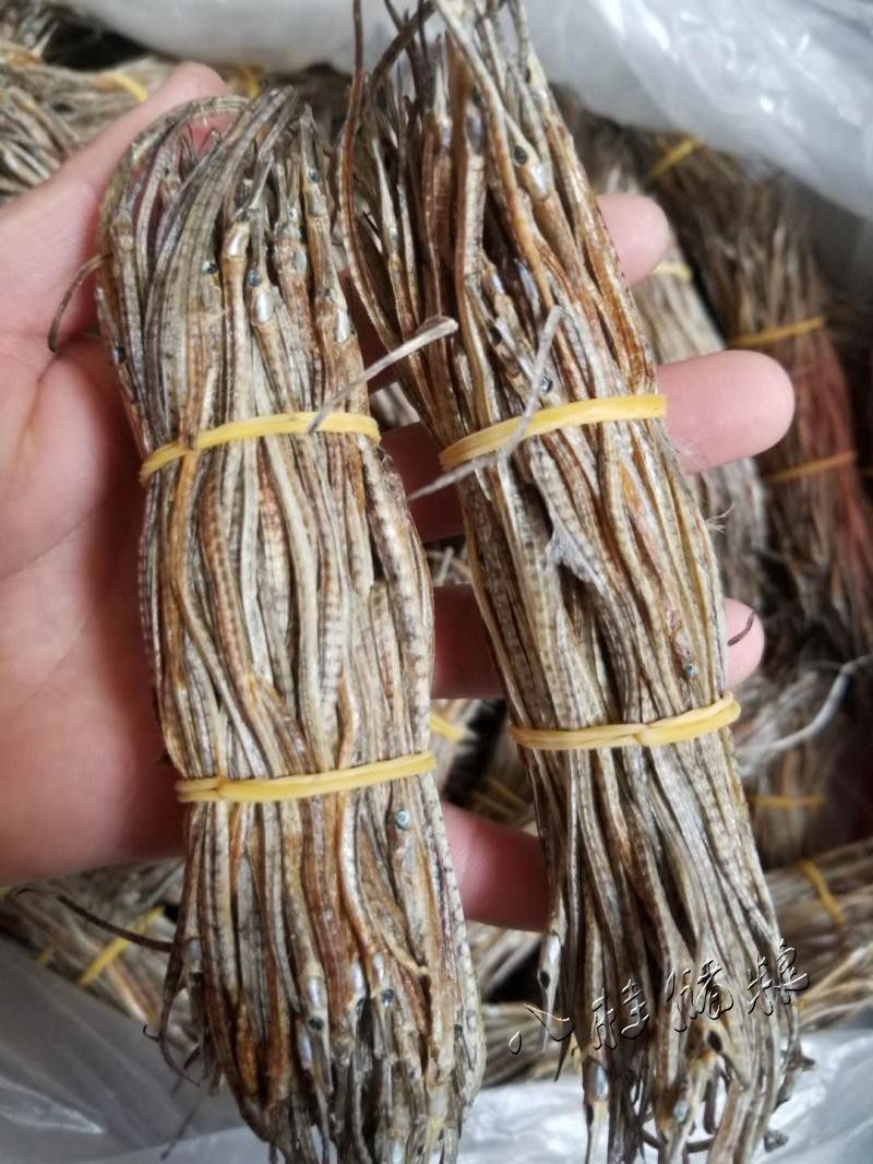 淡水海龙品牌排名前10位