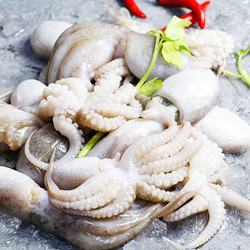 一折章鱼仔鲜活