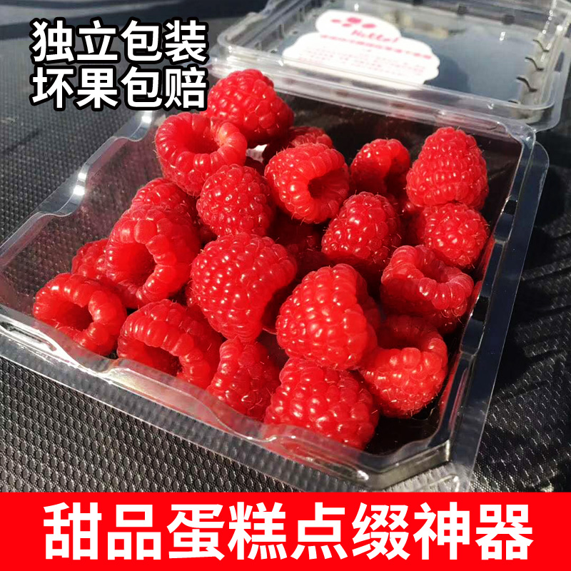 現貨 新鮮樹莓2盒裝有機水果覆盆子紅梅鮮果 江浙滬順豐包郵在類目 水產肉類/新鮮蔬果/熟食, 新鮮水果, 其它中 - 來自Buy2taobao.com提供專業的淘寶代購服務