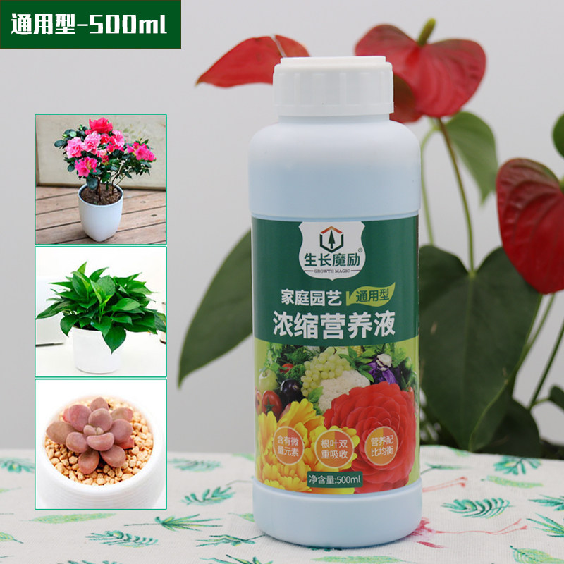 盆栽 家庭园艺_营养液植物通用型肥料家庭园艺养花家用水培绿植花卉